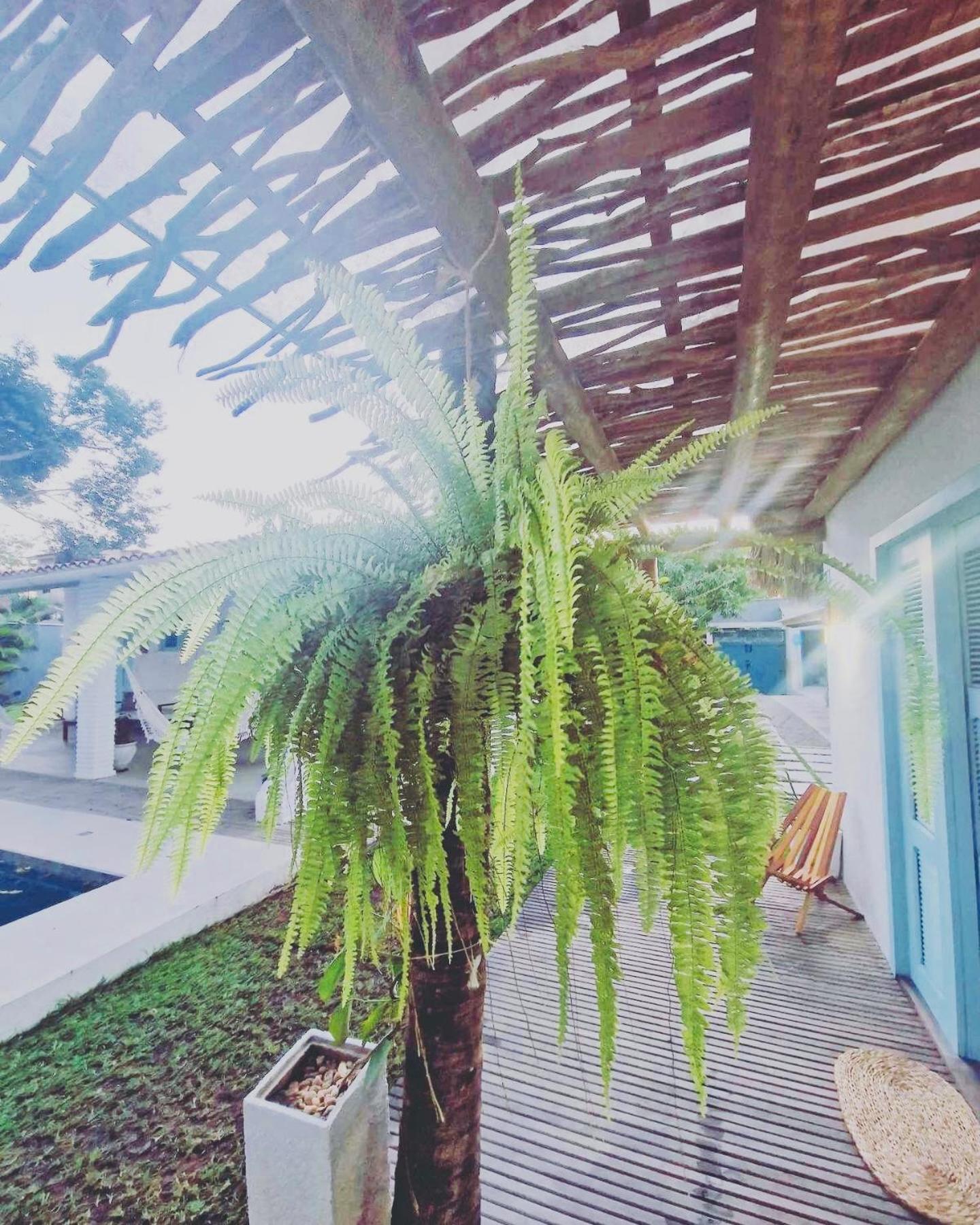 Villa Parazinho 파라쿠루 외부 사진